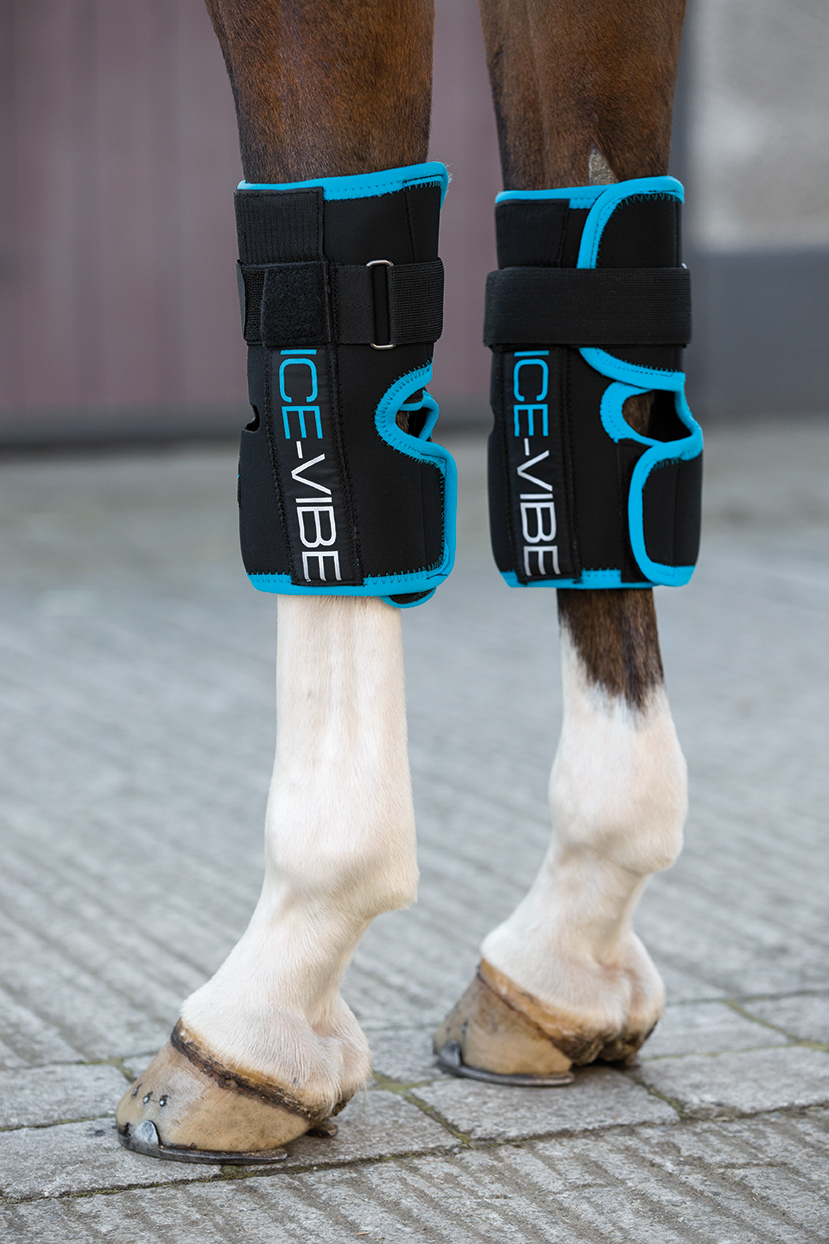 Horseware Ice-Vibe Therapiegamaschen Knee Wrap Schwarz, Gr. Full/ Wb Horseware Ice-Vibe Therapiegamaschen Knee Wrap Schwarz, Gr. Full/ Wb von Horseware