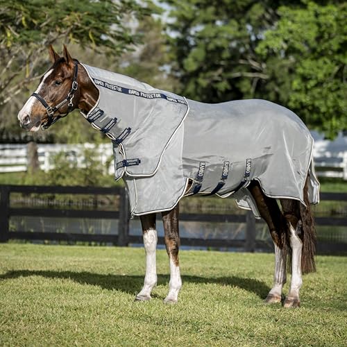 Horseware Ireland Rambo Protector Fliegendecke mit Halsabdeckung 81 Horseware Ireland Rambo Protector Fliegendecke mit Halsabdeckung 81 von Horseware