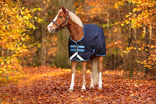 Horseware Irland Amigo Bravo 12 Original Pony Weidedecke (250 g Medium), Größe:48, Farbe:Marineblau (Türkis/Aqua Trim) von Horseware