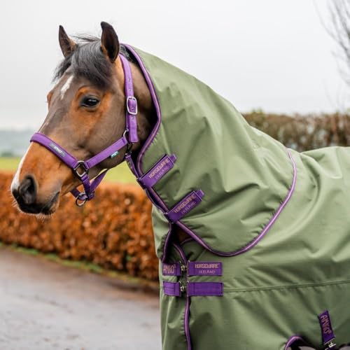 Horseware Irland Amigo Hero Ripstop Plus 100g Bramble Winterberry 69 von Horseware