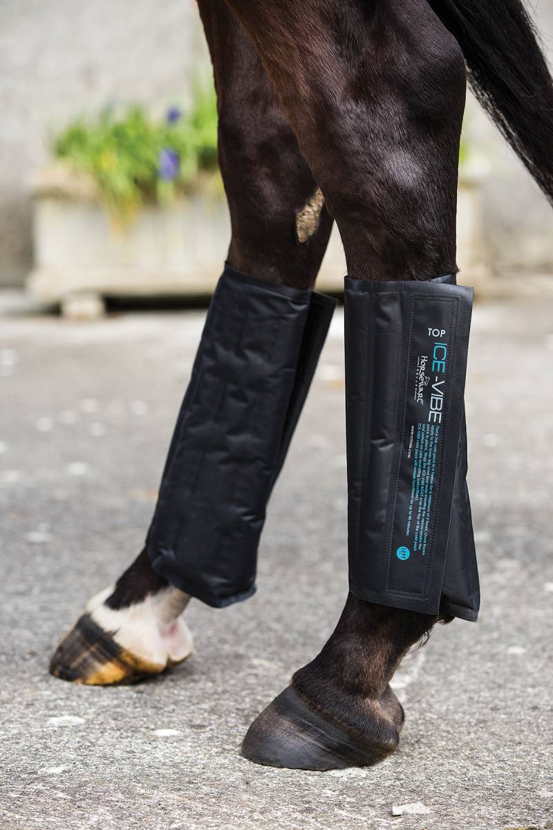 Horseware Kühlpacks für Ice-Vibe 'Boot' Schwarz, Gr. Extra Full/ X-Wb Horseware Kühlpacks für Ice-Vibe 'Boot' Schwarz, Gr. Extra Full/ X-Wb von Horseware