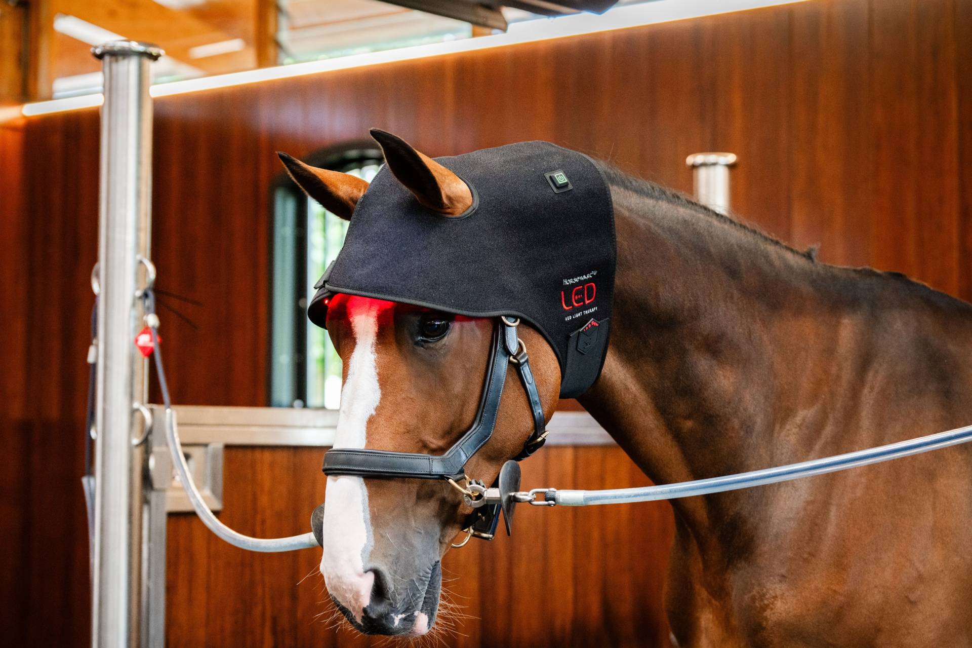 Horseware Led-Rotlicht-Therapie – Genickhaube Schwarz von Horseware