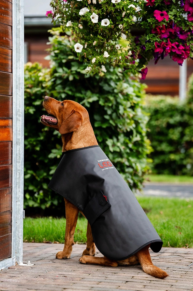 Horseware Led-Rotlicht-Therapie-Hundemantel  Schwarz / Onesize von Horseware