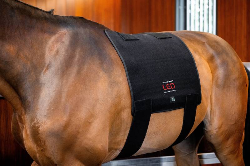 Horseware Led-Rotlicht-Therapie – Körperpad Schwarz von Horseware