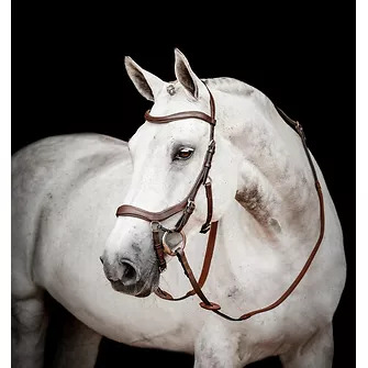 Horseware Micklem® Multi Bridle Dark Havana, Gr. Extra Full von Horseware