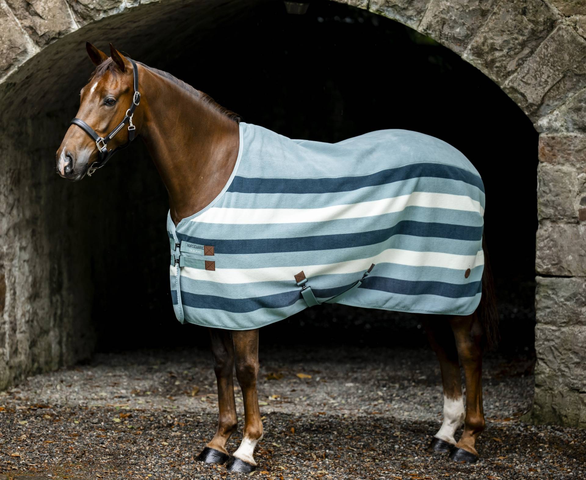 Horseware Newmarket Abschwitzdecke Witney Dynasty / 145 cm Horseware Newmarket Abschwitzdecke Witney Dynasty / 145 cm von Horseware