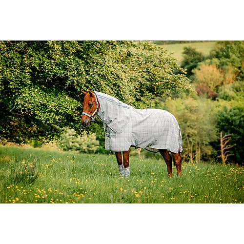 Horseware Newmarket Plus Fliegendecke 84 Witney Ccoal Horseware Newmarket Plus Fliegendecke 84 Witney Ccoal von Horseware