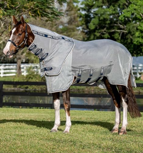 Horseware Protector Fieldsafe Plus Fliegendecke Horseware Protector Fieldsafe Plus Fliegendecke von Horseware