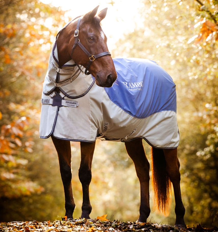 Horseware Rambo Autumn Series Navy/Grey, Gr. 155 cm von Horseware