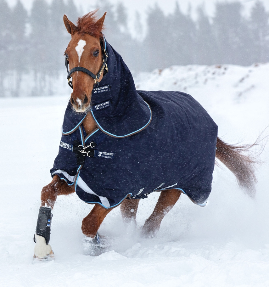 Horseware Rambo Duo Turnout 100g + 300g Liner Navy/Baby Blue & Brown, Gr. 140 cm von Horseware