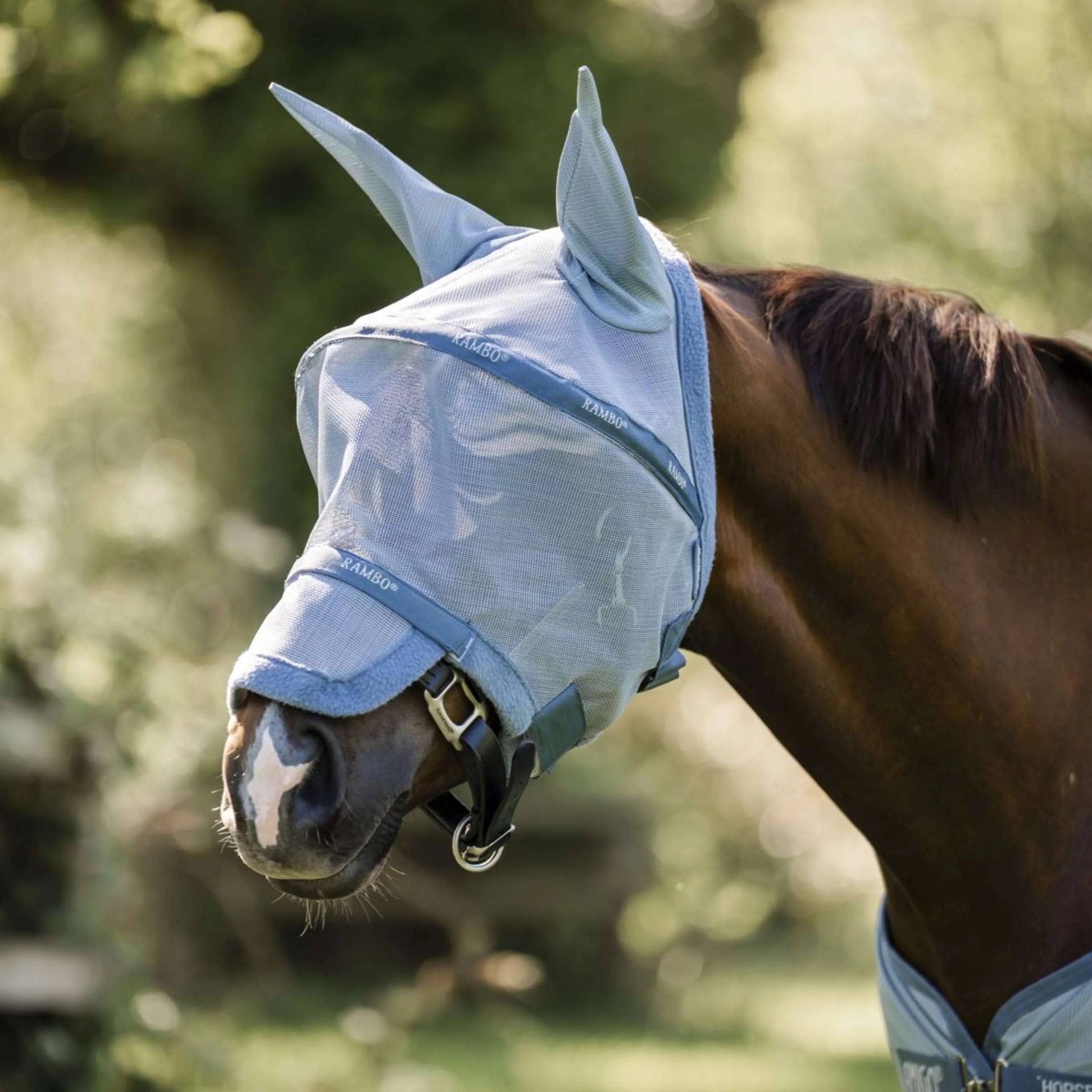 Horseware Rambo Fliegenmaske Heather Blue/Blue & Silver / Vb Horseware Rambo Fliegenmaske Heather Blue/Blue & Silver / Vb von Horseware