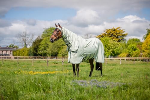 Horseware Rambo Hoody Green/sage Ekzemerdecke Fliegendecke (140) von Horseware