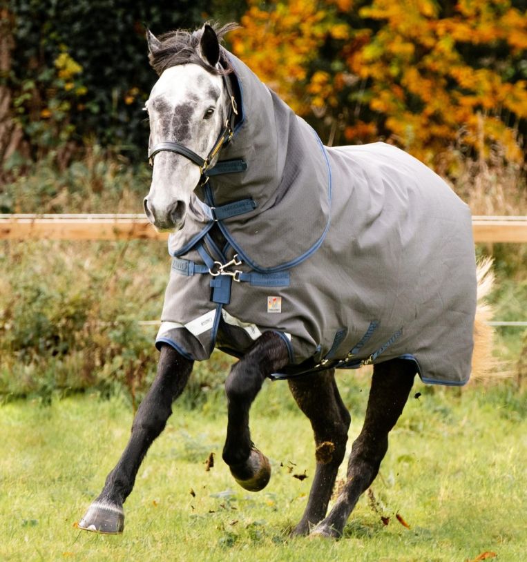 Horseware Rhino HexStop Plus Turnout 250g Vl Grey/Indigo & Navy, Gr. 145 cm Horseware Rhino HexStop Plus Turnout 250g Vl Grey/Indigo & Navy, Gr. 145 cm von Horseware