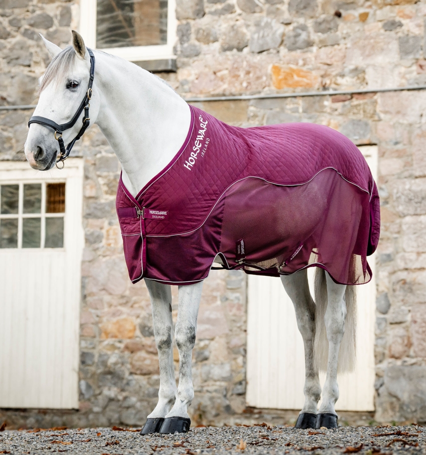 Horseware Signature Transportdecke Burgundy, Gr. 115 cm Horseware Signature Transportdecke Burgundy, Gr. 115 cm von Horseware