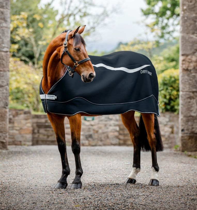Horseware Unterdecke Dry Liner Navy/ Silver, Gr. 145 cm Horseware Unterdecke Dry Liner Navy/ Silver, Gr. 145 cm von Horseware
