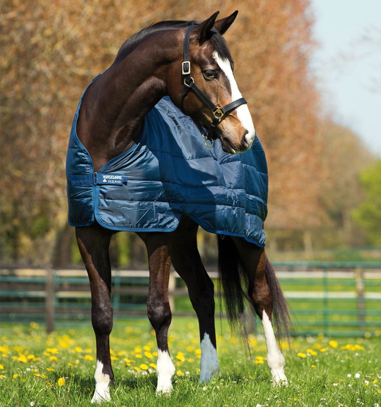 Horseware Unterdecke Liner 100g Navy/ Navy, Gr. 165 cm Horseware Unterdecke Liner 100g Navy/ Navy, Gr. 165 cm von Horseware
