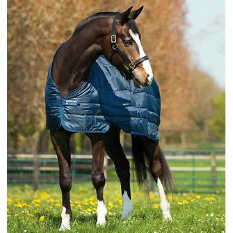 Horseware Unterdecke Liner 200g Navy/Navy, Gr. 125 cm Horseware Unterdecke Liner 200g Navy/Navy, Gr. 125 cm von Horseware