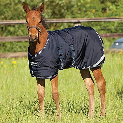 Outdoor-Decke für Pferde Horseware Amigo Foal Rug von Horseware