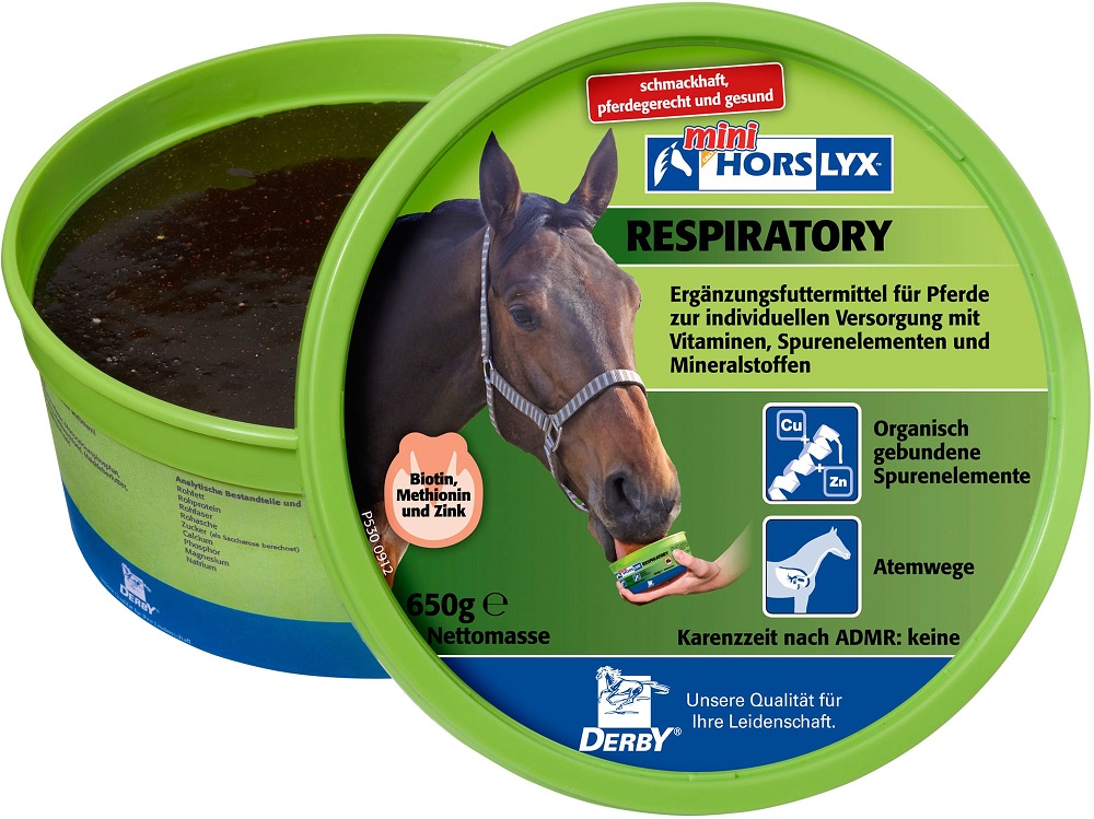 Derby Horslyx Leckstein Respiratory 650g Unterstützt die Atemwege von Horslyx