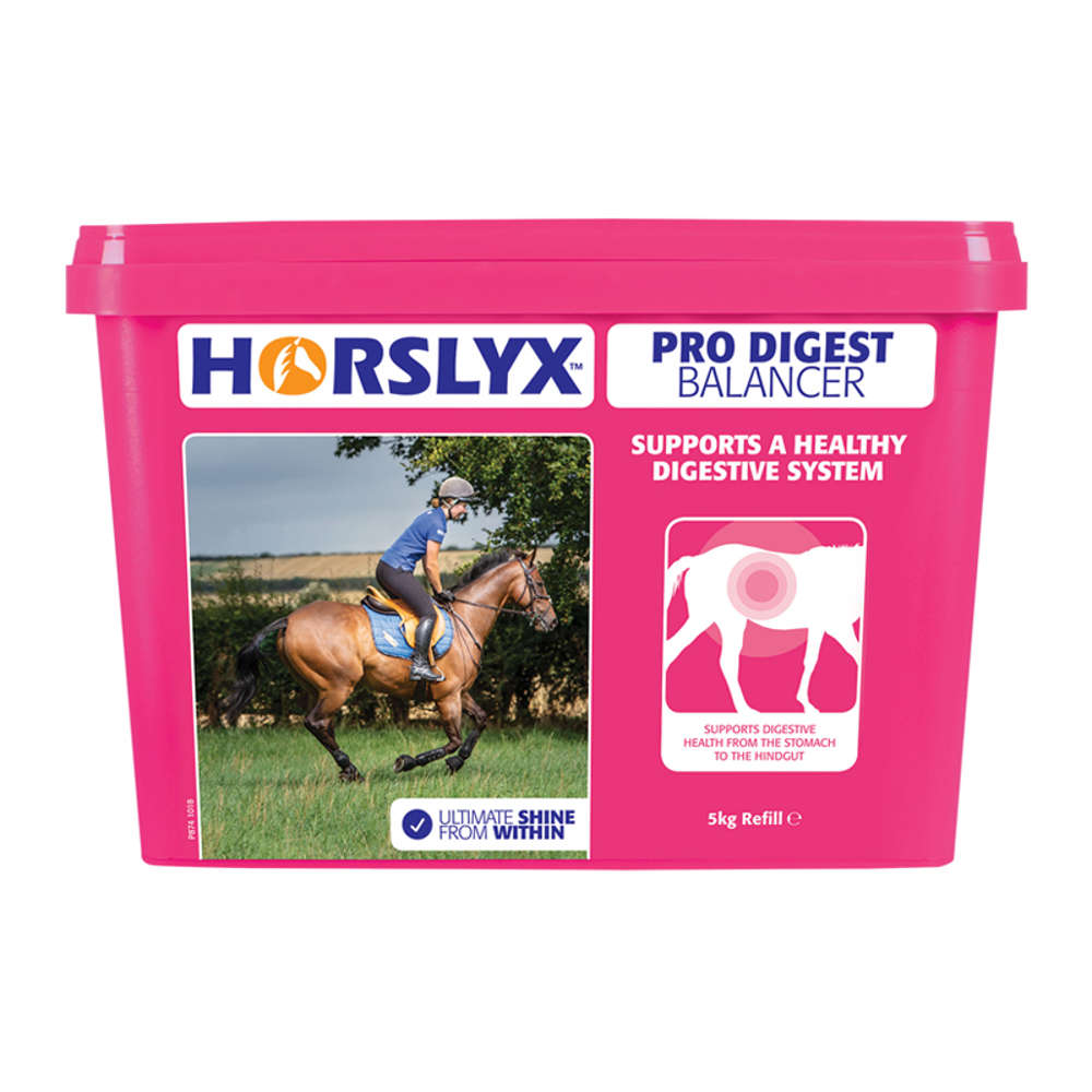Derby Horslyx Pro Digest 5 kg Leckmasse für Magen & Darm von Horslyx
