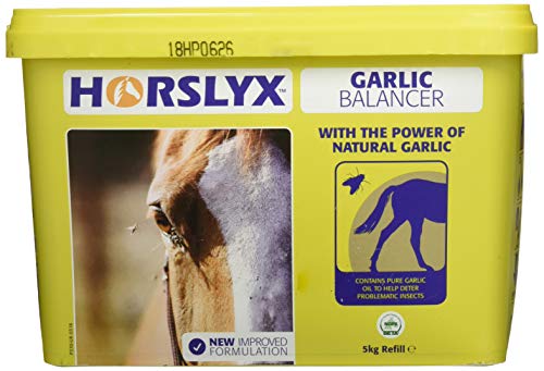 Horslyx 5060050110697 Wanne - Knoblauch, 5 kg von Horslyx