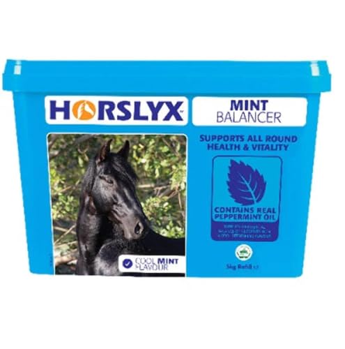 Horslyx Mint, 5 kg von Horslyx