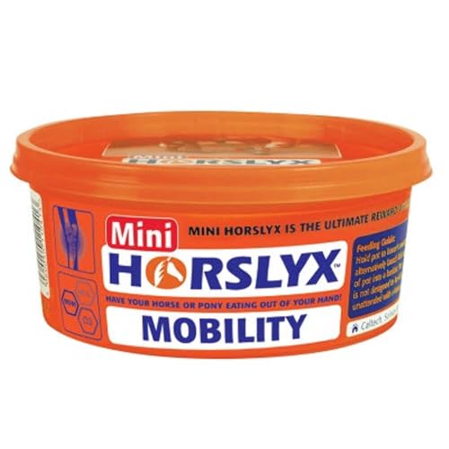 Horslyx Mobility Mini - 650 g von Horslyx