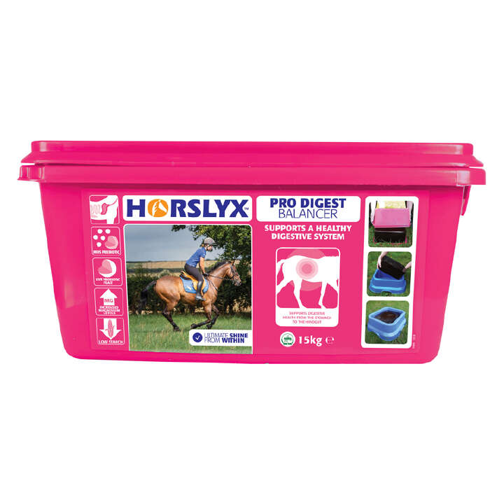 Horslyx Pro Digest 650 g Leckmasse für Magen & Darm Horslyx Pro Digest 650 g Leckmasse für Magen & Darm von Horslyx