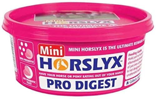 Horslyx Pro Digest, 650 g von Horslyx