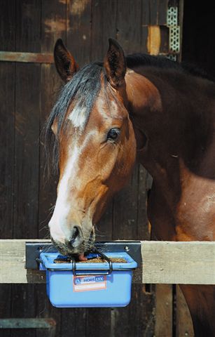 Horslyx Wandhalter für 5kg Horslyx Leckmassen Horslyx Wandhalter für 5kg Horslyx Leckmassen von Horslyx
