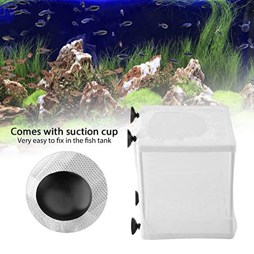 Hoseten Fischzüchter Fischzucht Inkubator Aquarium Fischzucht Box, Fischzuchtnetz Inkubator Züchter Isolation Mesh Box, Baby Fische für Aquarium von Hoseten