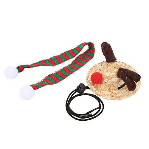 Hosie Eidechsen-Weihnachtskostüm-Bekleidungsset, Vielseitiger Bartagamen-Weihnachtsmannmützen-Schal für Eidechsen, Amphibien und Geckos von Hosie