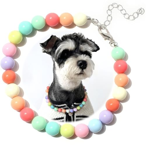 Hosiwei Halsband für Hunde und Katzen, Regenbogenperlen, Kunstperlen, Haustierschmuck, bunte Bonbonfarben, Größe L (4,5–7,5 kg) von Hosiwei