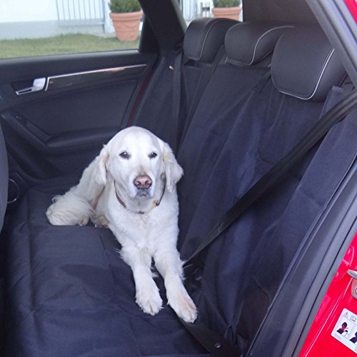 Gurt und Sitzbefestigung empfohlen f/ür Ford Fiesta V Katze oder Haustier inkl Knuffliger Autositz f/ür Hund