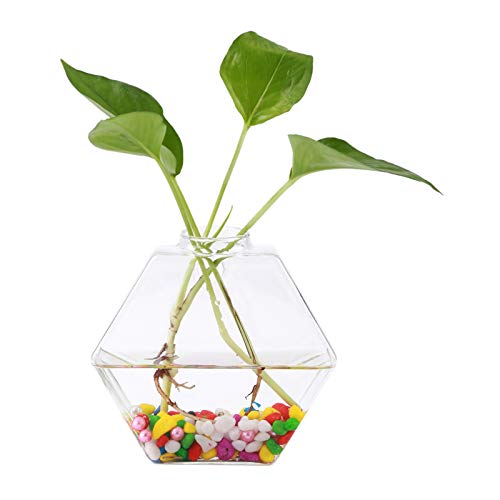 Hängende Pflanzen, Blumen, Glasvase, Wand-Hydrokultur-Aquarium-Behälter, Heimdekoration (Hexagon) von Hosuho