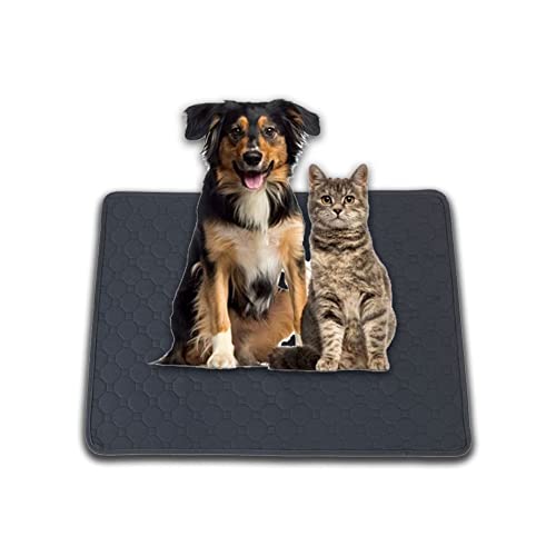 Waschbar Haustier-Urinunterlage, Matten für Hunde, Welpenunterlagen waschbar Welpen Wiederverwendbar Inkontinenzunterlage für Katzen Kaninchen Meerschweinchen,Grau,60 * 45 cm Waschbar Haustier-Urinunterlage, Matten für Hunde, Welpenunterlagen waschbar Welpen Wiederverwendbar Inkontinenzunterlage für Katzen Kaninchen Meerschweinchen,Grau,60 * 45 cm von HotYou