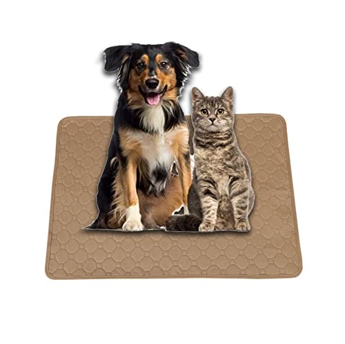 Waschbar Haustier-Urinunterlage, Matten für Hunde, Welpenunterlagen waschbar Welpen Wiederverwendbar Inkontinenzunterlage für Katzen Kaninchen Meerschweinchen,Khaki,60 * 45 cm Waschbar Haustier-Urinunterlage, Matten für Hunde, Welpenunterlagen waschbar Welpen Wiederverwendbar Inkontinenzunterlage für Katzen Kaninchen Meerschweinchen,Khaki,60 * 45 cm von HotYou