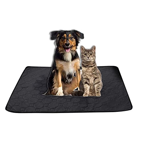 Welpenunterlagen Waschbar, Welpen Hunde Trainingsunterlagen Waschbar Haustier-Urinunterlage Wiederverwendbare Erziehungsunterlage Matte für Hunde, Katzen, Meerschweinchen,Schwarz,30 * 30 cm Welpenunterlagen Waschbar, Welpen Hunde Trainingsunterlagen Waschbar Haustier-Urinunterlage Wiederverwendbare Erziehungsunterlage Matte für Hunde, Katzen, Meerschweinchen,Schwarz,30 * 30 cm von HotYou