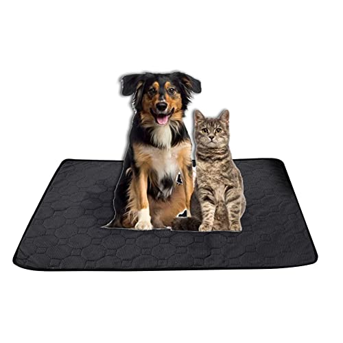 Welpenunterlagen Waschbar, Welpen Hunde Trainingsunterlagen Waschbar Haustier-Urinunterlage Wiederverwendbare Erziehungsunterlage Matte für Hunde, Katzen, Meerschweinchen,Schwarz,30*30 cm von HotYou