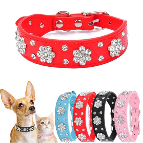 Bling Diamond Hundehalsband für kleine Hunde, funkelndes Leder, Haustierhalsband für Mädchen, Damen, Strass, Kristall, Glitzer für XS, kleine, mittelgroße Hunde (Rot, M) von Hotlion