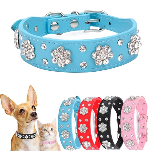 Bling Diamond Hundehalsband für kleine Hunde, funkelndes Leder, Haustierhalsband für Mädchen, weiblich, Strass, Kristall, Glitzer für XS, kleine, mittelgroße Hunde (Blau, M) von Hotlion