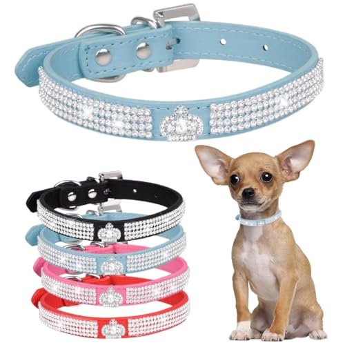 Diamant-Hundehalsband für kleine Hunde, ausgefallene Krone, glitzernde Kristalle, für Mädchen, Welpen, Katzen, Halsbänder für XXS, XS, kleine, mittelgroße und große Hunde (Blau, M) von Hotlion