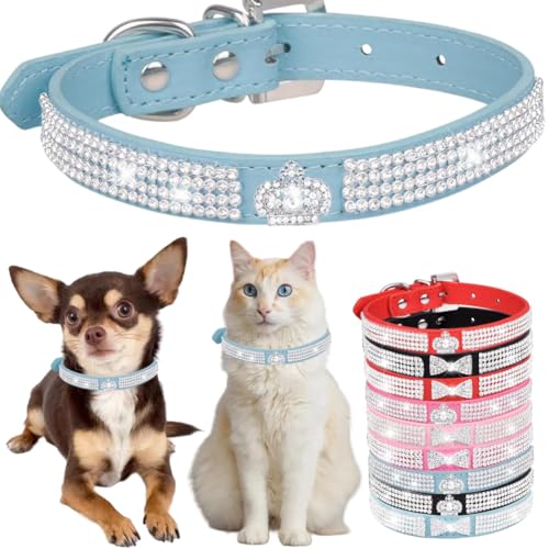 Diamant-Hundehalsband für kleine Hunde, ausgefallene Krone, glitzernde Kristalle, für Mädchen, Welpen, Katzen, Halsbänder für XXS, XS, kleine, mittelgroße und große Hunde (Blau, S) von Hotlion