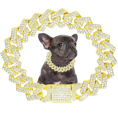 Gold Hundekette, Diamant Cuba Link Hundehalsband Metall Hundekette Katzenketten Haustier Kristall Halsbänder Schmuck für Kleine Mittlere Große Hunde Katzen, 10 Zoll von Hotlion
