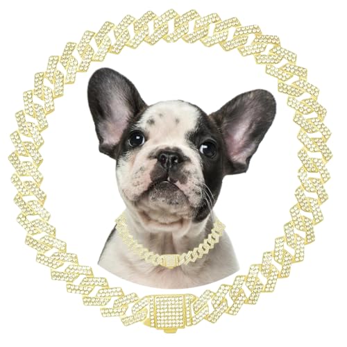 Goldene Hundekette, Diamant-Hundehalskette, Metall, kubanische Glieder-Welpenhalsband mit sicherer Schnalle, Spazierengehen, Kristallschmuck, Halskette für kleine, mittelgroße und große Haustiere von Hotlion
