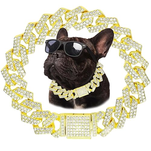 Goldene Hundekette, Diamant Kubanische Verbindung Hundeleine Metall Hund Anhänger Katze Ketten Haustier Kristall Kragen Schmuck für kleine mittelgroße Hunde Katzen, 20 Zoll Goldene Hundekette, Diamant Kubanische Verbindung Hundeleine Metall Hund Anhänger Katze Ketten Haustier Kristall Kragen Schmuck für kleine mittelgroße Hunde Katzen, 20 Zoll von Hotlion