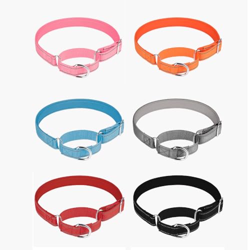 Großes Martingale-Halsband, Nylon, reflektierend, rutschfest, kein Entkommen, begrenzte Choke Pinch und Leinen, Schnellverschluss-Schnalle, Training für große Haustiere, einfaches Gehen, Rosa Großes Martingale-Halsband, Nylon, reflektierend, rutschfest, kein Entkommen, begrenzte Choke Pinch und Leinen, Schnellverschluss-Schnalle, Training für große Haustiere, einfaches Gehen, Rosa von Hotlion