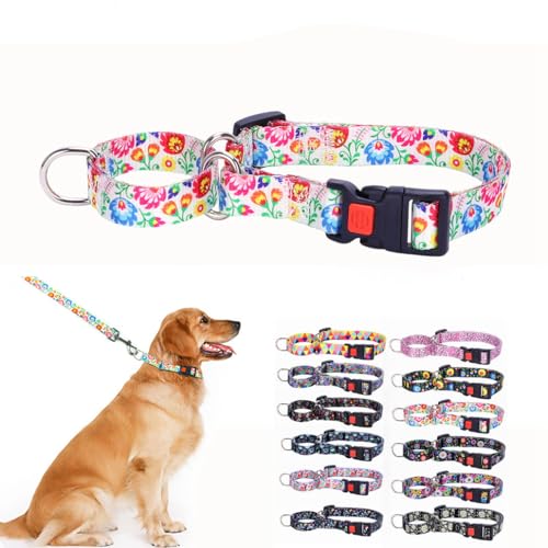 Martingale-Halsband für Hunde, groß, mittel, kleine Rassen, rutschfest, kein Entkommen, begrenztes Würgen, Quetsch-Halsband, Schnellverschluss-Schnalle mit Schloss (Daisy, L) von Hotlion