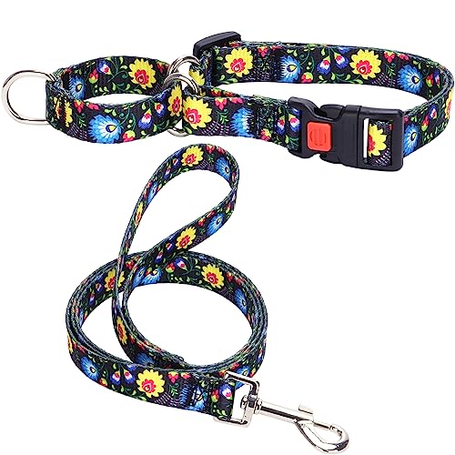Hotlion Martingalhalsband und Leine, Set aus weichem Nylon, für kleine Hunde, strapazierfähig, ausgefallenes Welpenhalsband mit Schnellverschluss-Schnalle, verstellbar, für Haustiertraining, Gelb / Hotlion Martingalhalsband und Leine, Set aus weichem Nylon, für kleine Hunde, strapazierfähig, ausgefallenes Welpenhalsband mit Schnellverschluss-Schnalle, verstellbar, für Haustiertraining, Gelb / von Hotlion