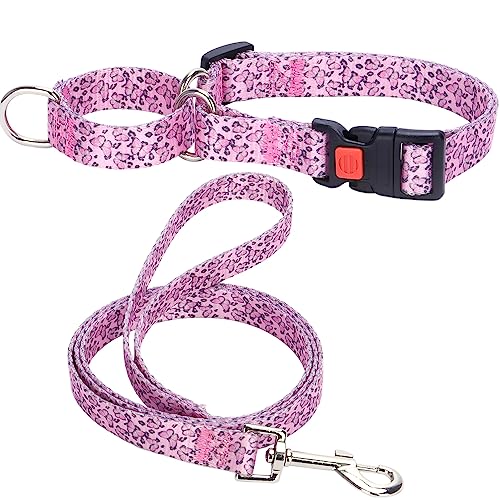 Hotlion Martingalhalsband und Leine, Set aus weichem Nylon, für kleine Hunde, strapazierfähig, ausgefallenes Welpenhalsband mit Schnellverschluss-Schnalle, verstellbar, für Haustiertraining, rosa Hotlion Martingalhalsband und Leine, Set aus weichem Nylon, für kleine Hunde, strapazierfähig, ausgefallenes Welpenhalsband mit Schnellverschluss-Schnalle, verstellbar, für Haustiertraining, rosa von Hotlion